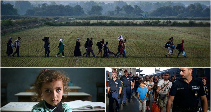 Invandring, Syrien, Fakta, Myter, Invandrare